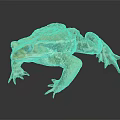Orange Brown Toad With Blue Eyes And Rough Skin On Dark Background 3d model