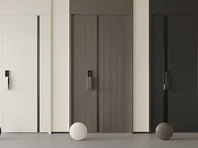 Modern Minimalist Security Doors in White Gray and Black with Electronic Locks 3d model
