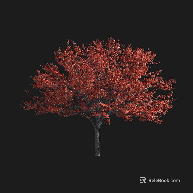 Vibrant Red Leaf Arbor Tree with Lush Foliage on Black Background 3d model 