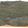 Natural Garden Landscape With Mountain Terrain Undulating Slopes And Green Vegetation