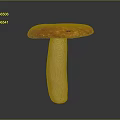 Fresh Red Capped Mushroom With White Stem On Dark Background
