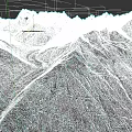 Microtopography Featuring Snow Covered Mountain Peaks Glacier And Lush Valley Vegetation