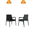 Modern Leisure Chair With Black Metal Frame And Leather Seat Design