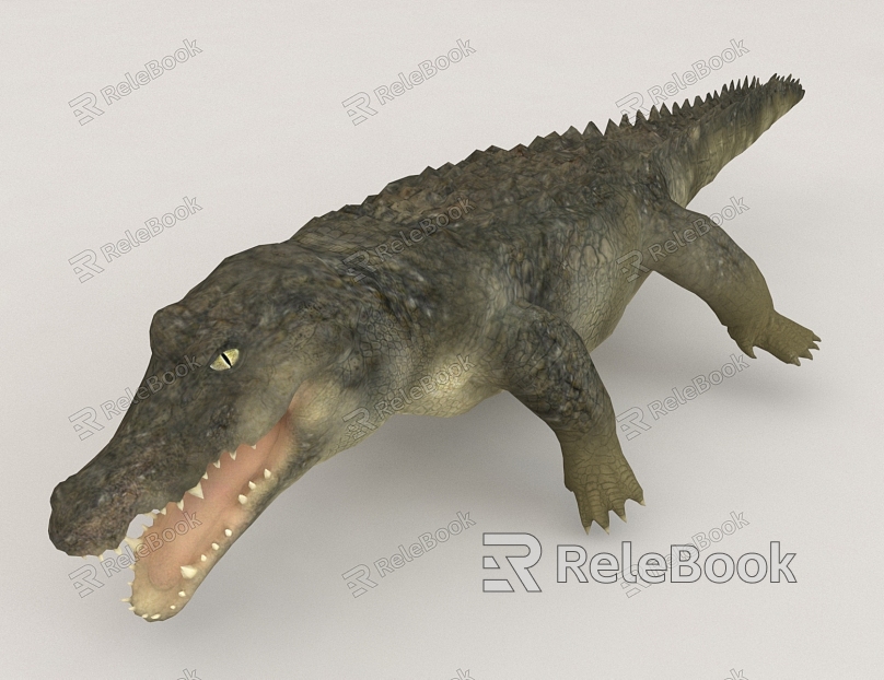 Crocodile Beast model