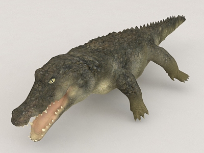 Crocodile Beast model