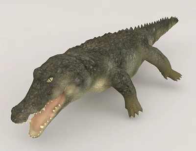 Realistic Crocodile Reptile With Open Mouth 3d model