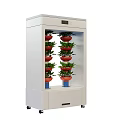 Crops Cultivated in Controlled Indoor Vertical Growing System Featuring Multiple Layers and White Design 3d model