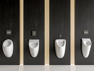 Modern urinal combination 3d model