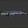 Blue Whale 3D Model With Spotted Blue Skin And Open Mouth On Gray Background