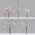 Various Winter Trees Featuring Snow Covered Branches and Red Fruits 3d model