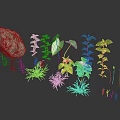 Various Green Plants With Different Leaf Shapes And Varying Heights Near Large Rock