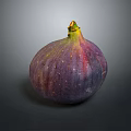 Fresh Ripe Fig with Purple Red Green Glossy Skin on Dark Background