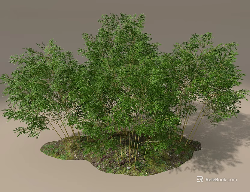 Lush Green Bamboo Plants With Slender Stems And Dense Foliage In Natural Setting 3d model 