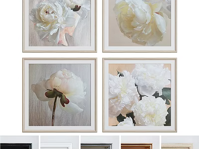 Decorative Picture Frames With White Peony Paintings And Various Color Options 3d model