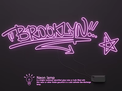 Stylish Neon Light Combination With Pink Glowing BROOKLYN Sign And Star Shape On Dark Background 3d model