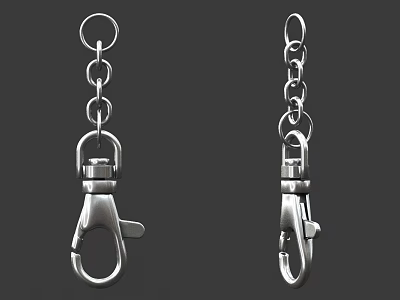 Stainless Steel Carabiner With Chain Link Hanging Hook Two Sides View 3d model