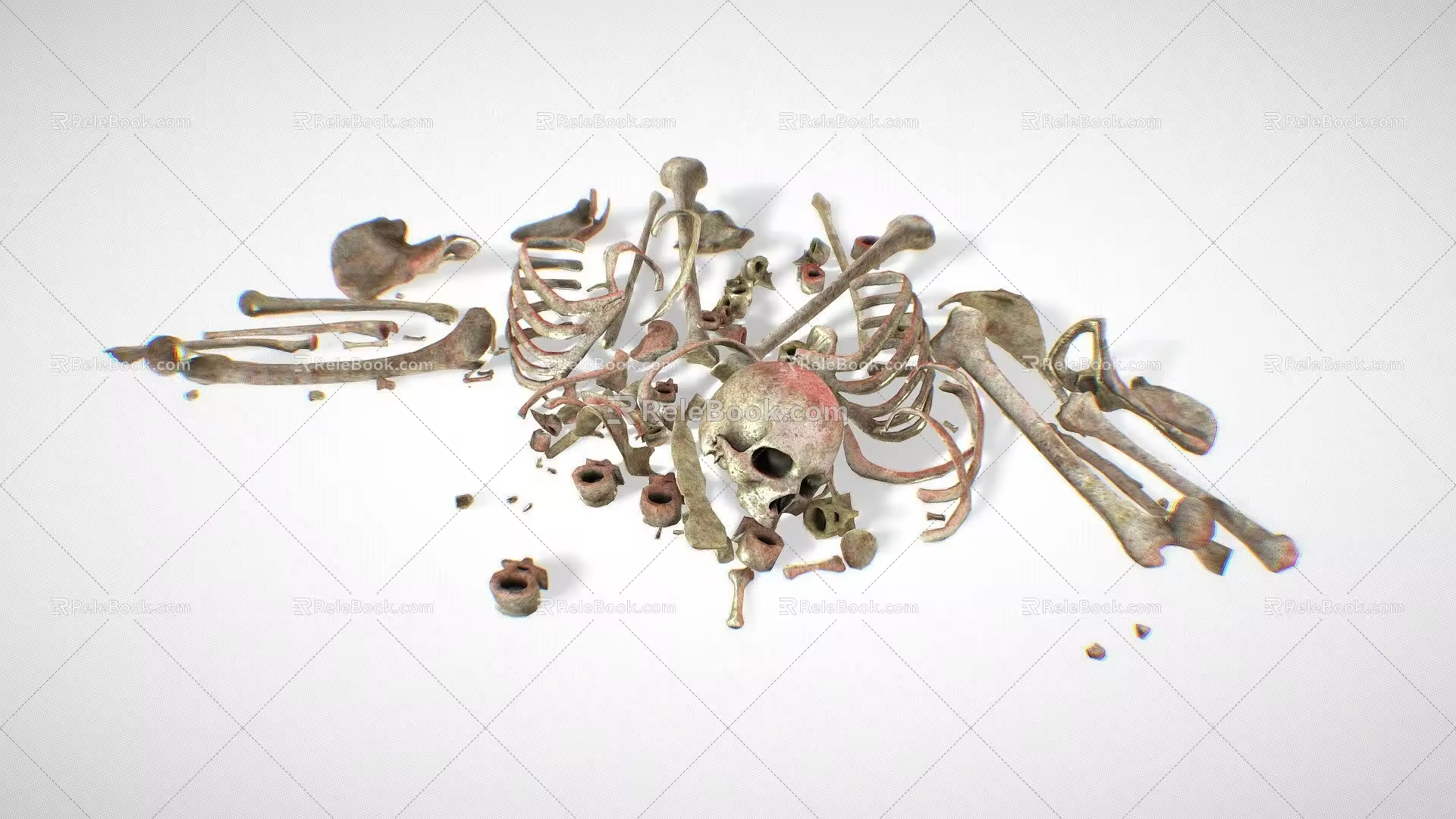 Skeleton Bone Remains 3d model