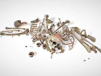 Skeleton Bone Remains model