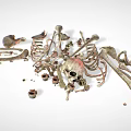 Skeleton Bone Remains 3d model