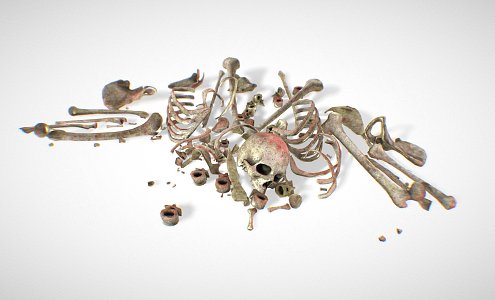 Skeleton Bone Remains 3d model