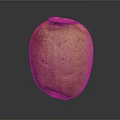 Fresh Organic Lotus Root With Natural Brown Spots And Smooth Surface Texture
