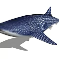 Whale Shark Aquatic Animal With Blue Body White Spots And Streamlined Appearance