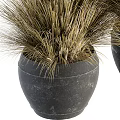 Two Dark Stone Vases With Dry Grass Decorative Plants For Home 3d model