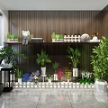 Indoor Bonsai and Potted Plants with Wooden Wall Marble Floor White Fence Shelves Decorative Items