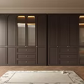 Modern Dark Brown Wardrobe Interior Design With Glass Doors Lighting And Drawers