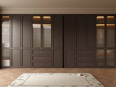 Modern Dark Brown Wardrobe Interior Design With Glass Doors Lighting And Drawers 3d model