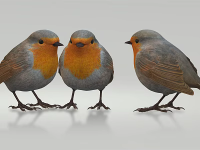 Modern Birds 3d model