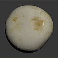 Whole Fresh Edible White Mushroom with Smooth Cap and Firm Stem