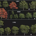 Various Tree Varieties Featuring Ash Black Locust And Bur Oak Species