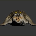 Modern crocodile Alligator Nile crocodile 3d model