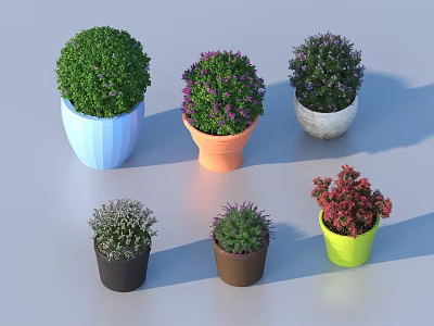 Colorful Potted Bonsai Plants With Blue Orange White Black Brown Green Pots And Mixed Foliage 3d model