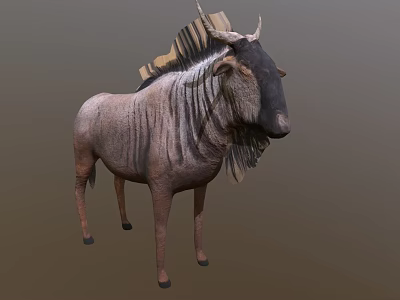 Realistic Wildebeest With Curved Horns Shaggy Mane And Textured Body 3d model