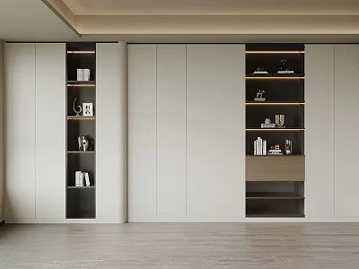 Modern Sleek Bookcase Interior Design With Multiple Shelves And Decorative Items 3d model