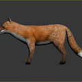 Lifelike Standing Fox with Perked Ears Orange and White Fur on Gray Reflective Surface