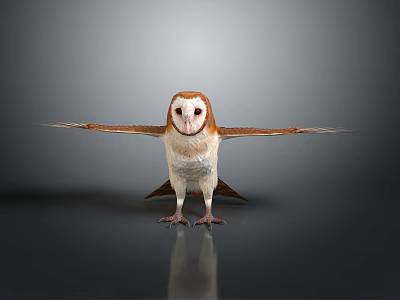 Brown And White Owl Standing With Spread Wings On Smooth Reflective Surface Against Gray Background 3d model