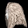Realistic Human Head Model With Natural Blonde Curly Hair Texture