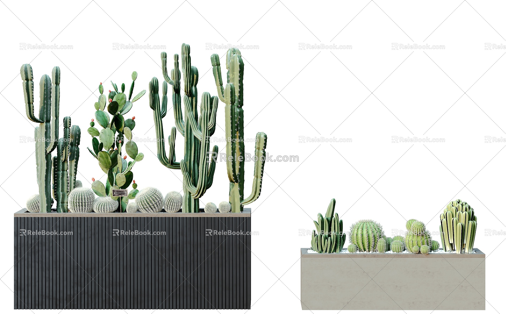 Modern Plant Potted Plant Potted Plant Green Plant Flowers Flowers Trees Plants Wall Cactus 3d model