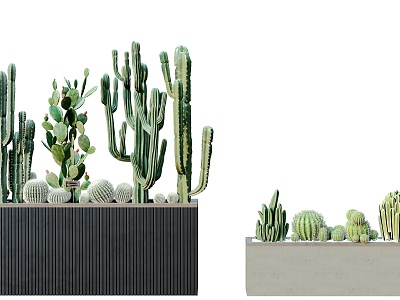 Modern Plant Potted Plant Potted Plant Green Plant Flowers Trees Plants Wall Cactus 3d model