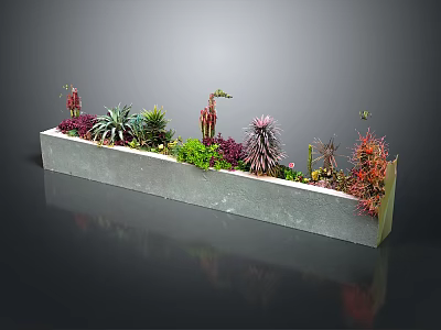 Variety of Colorful Succulent Plants in Long Stone Planter for Home Decor 3d model