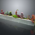 Variety of Colorful Succulent Plants in Long Stone Planter for Home Decor