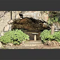 Natural Cave Landscape With Lush Green Plants Stone Pathway And Round Stone Table