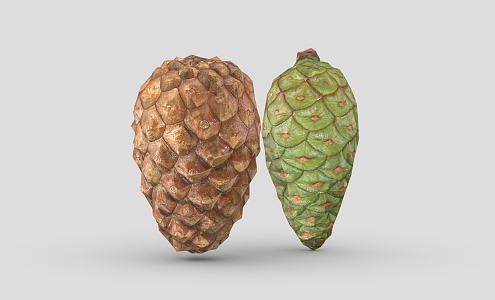 pine cone cartoon pine cone 1 hazelnut dried fruit pine nuts 3d model