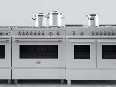 Stainless Steel Kitchen Range With Multiple Ovens And Cooking Pots On Top 3d model