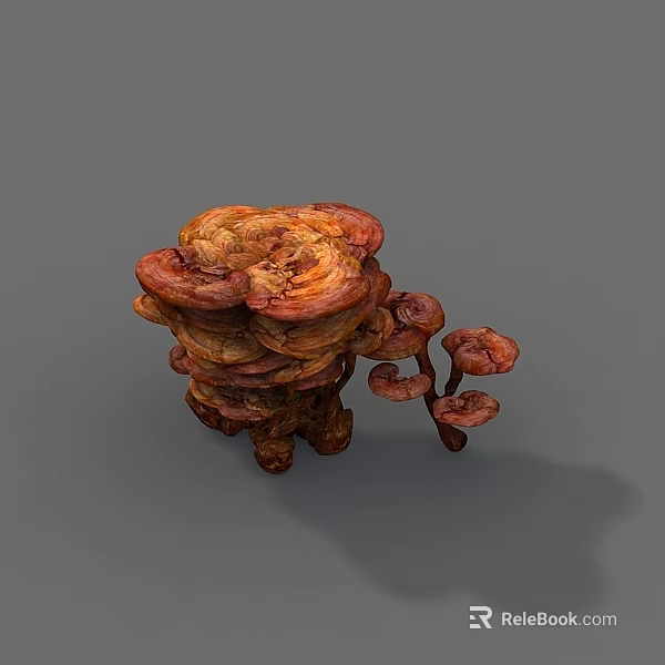 Organic Ganoderma Mushrooms With Reddish Brown Caps And Clustered Growth 3d model 
