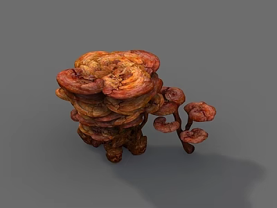 Organic Ganoderma Mushrooms With Reddish Brown Caps And Clustered Growth 3d model