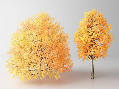 Vibrant Autumn Arbor Trees With Orange Yellow Leaves And Distinct Shapes 3d model